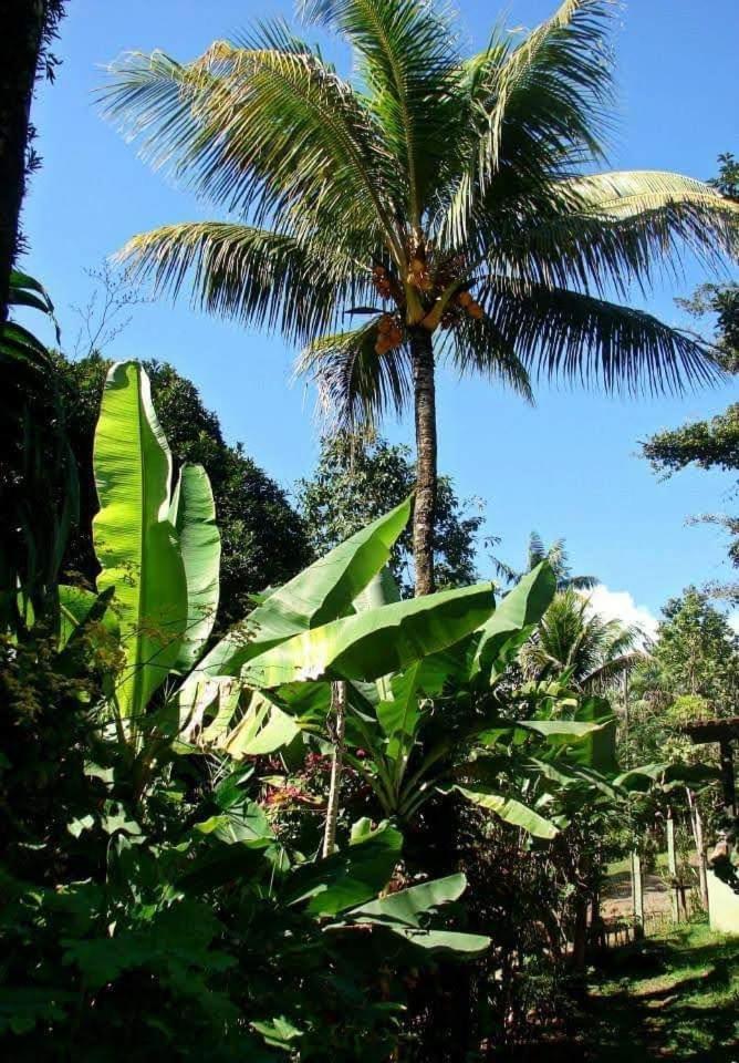Pousada Villa Da Gama Paraty Ruang foto