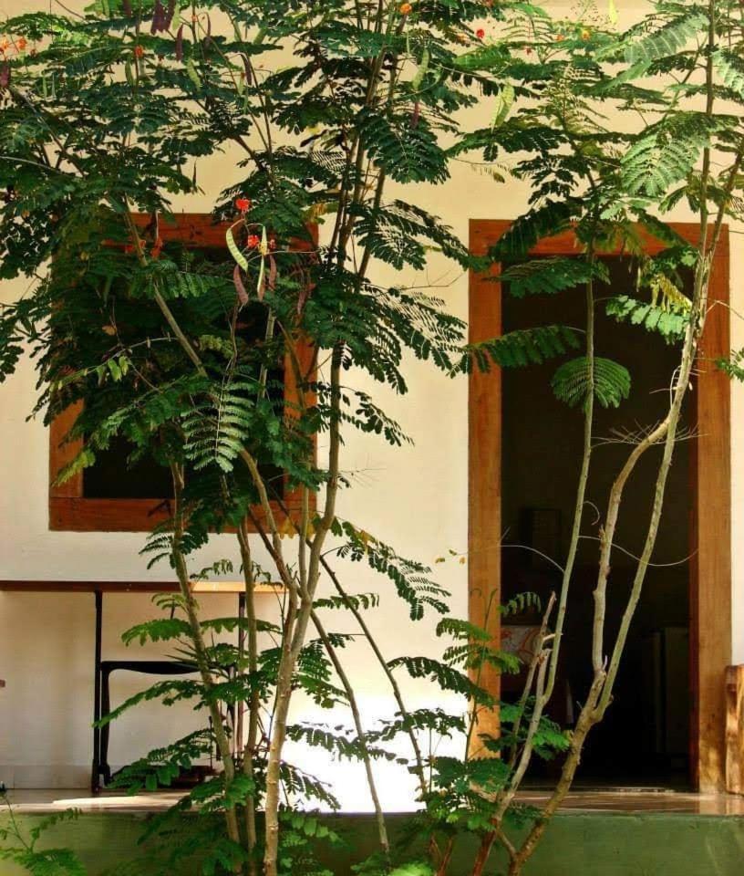 Pousada Villa Da Gama Paraty Ruang foto