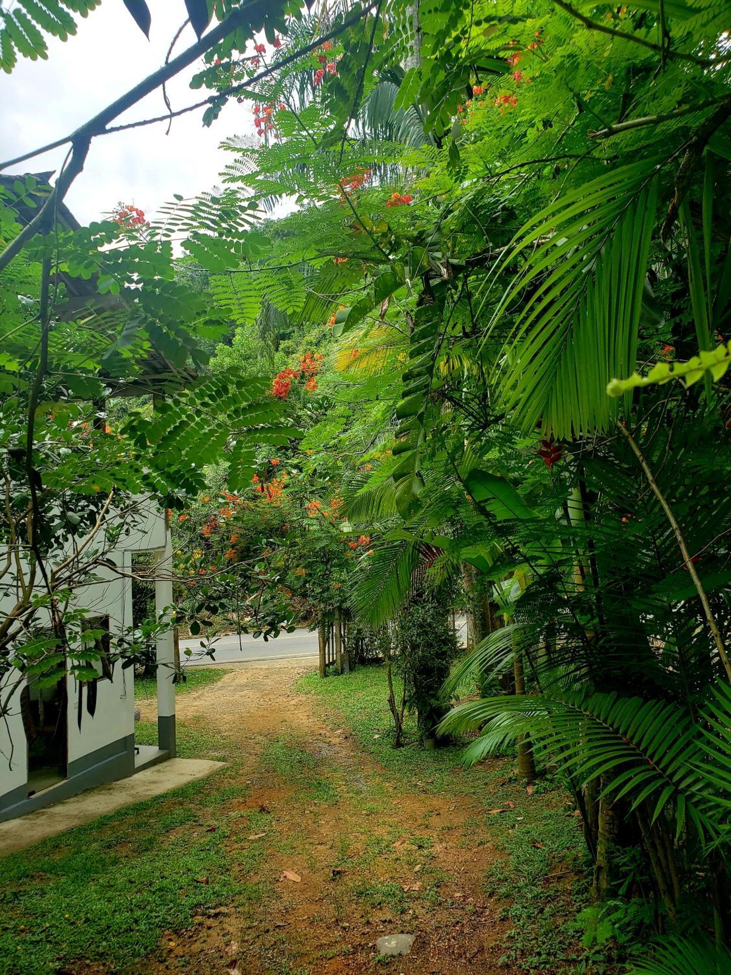 Pousada Villa Da Gama Paraty Ruang foto